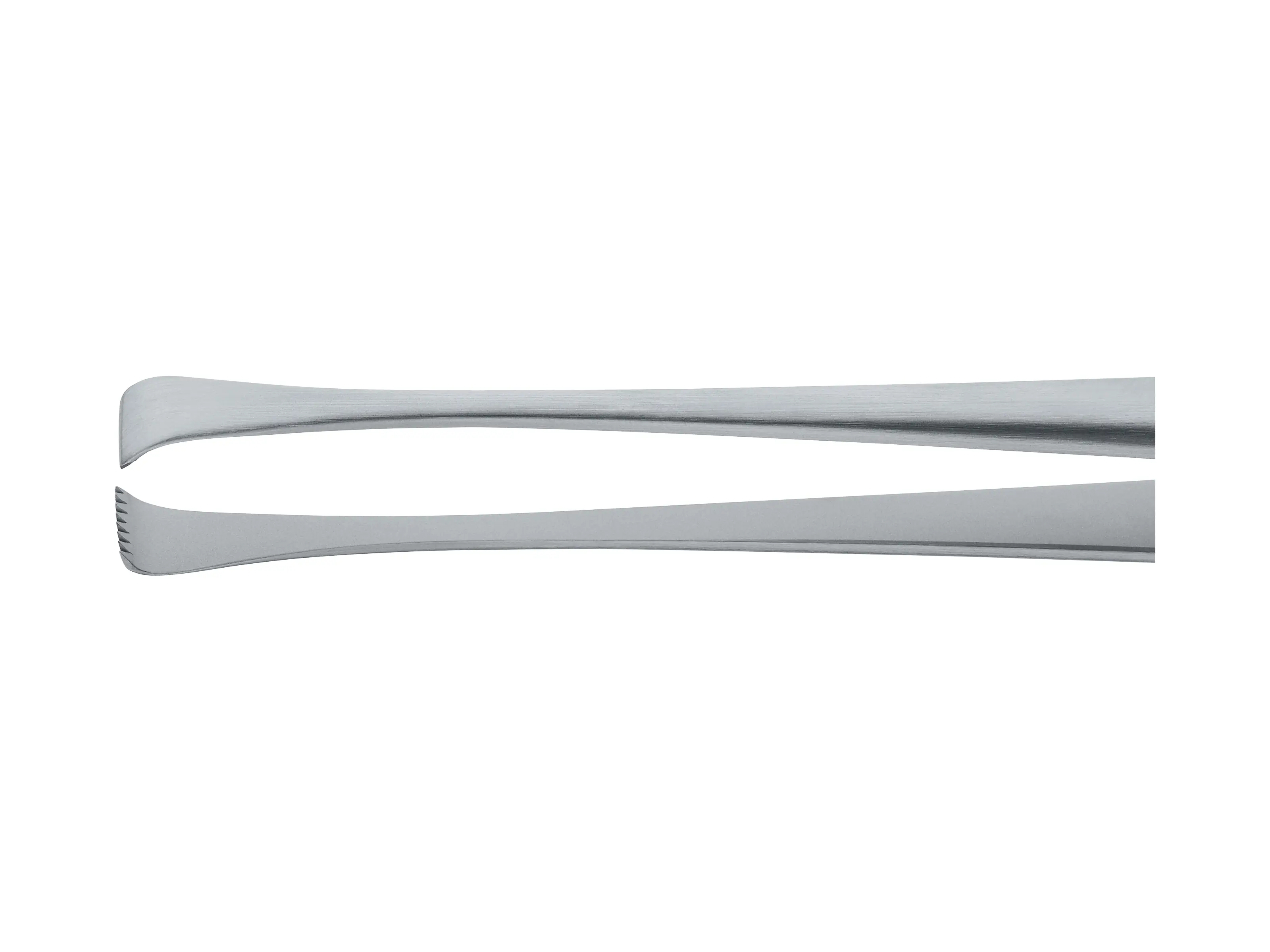 ALLIS Forceps, 20 cm | KARL STORZ Endoskope | Luxembourg